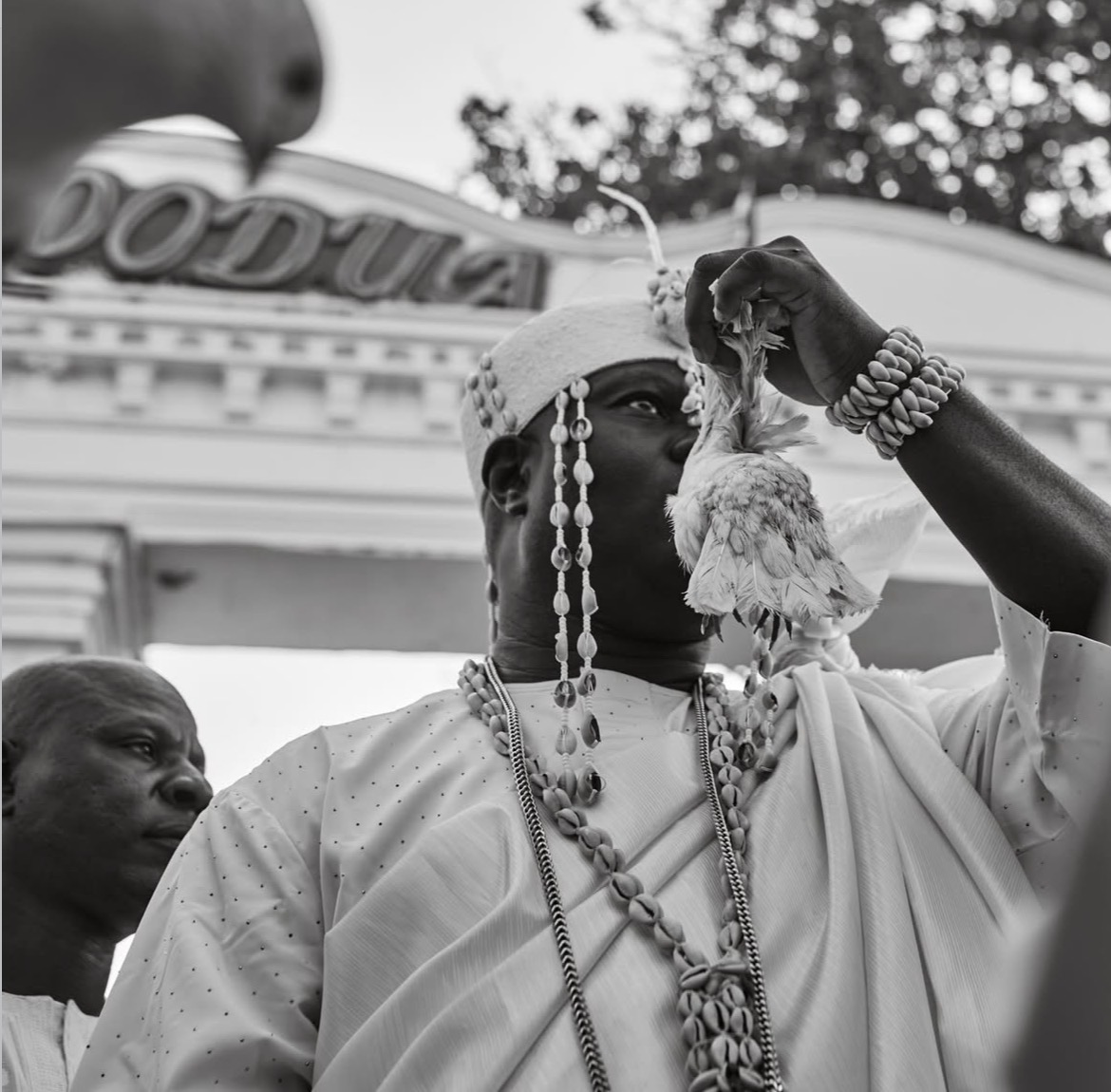 Dah Ya Agbanté — Grand Marabout & Prêtre Vodoun